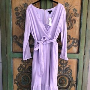 NWT Gorgeous Lavender Silk/Cotton JCrew Dress